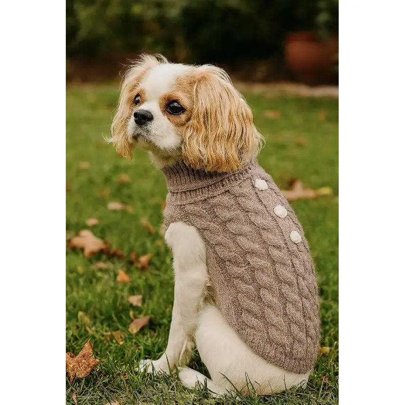 Pumpkin Pie Pearl Knit Dog Sweater