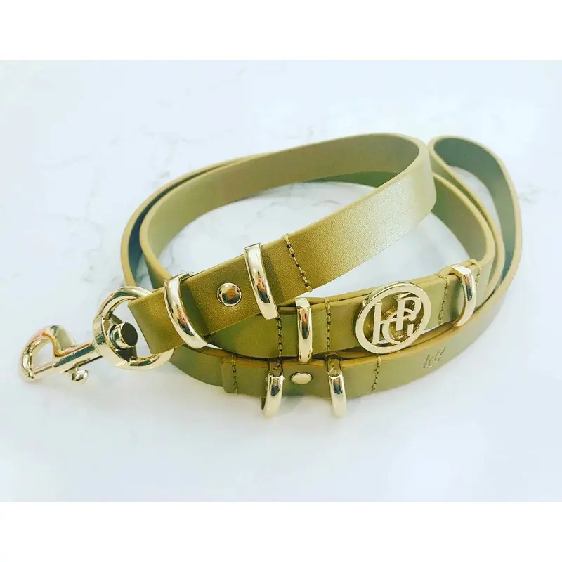 Leather Dog Lead - Champagne