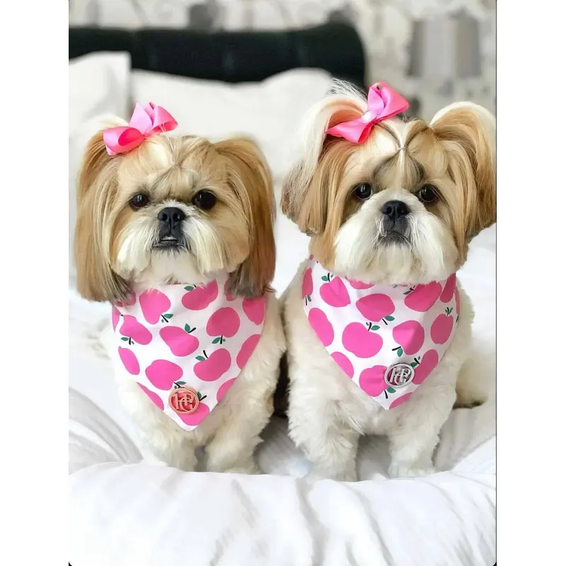 The Candy Apple Scarf