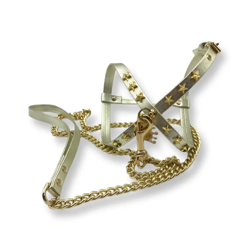 Fashion Dog Harness and Chain Leash Set - Gold with Gold Stars