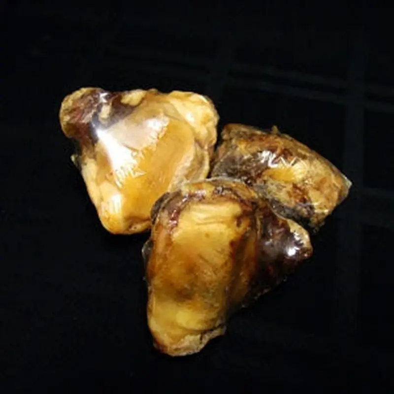 MM01062 Knee Cap 24 Display