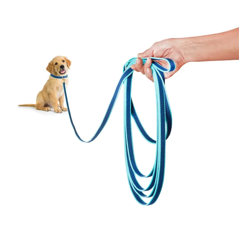 Color Market Training Lead