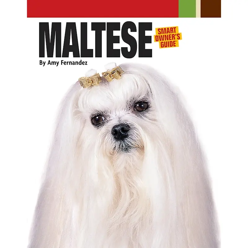 Maltese