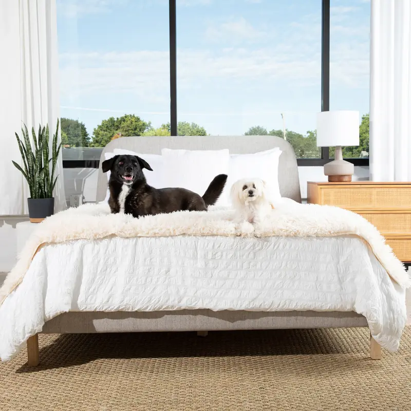 PupProtector Luxe Waterproof Bed Runner - Plush Sheep Ivory