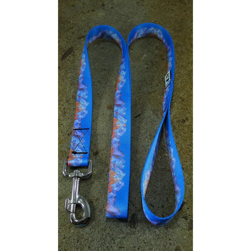 MTN Straps Wasatch Front Dog Leash 4 Foot