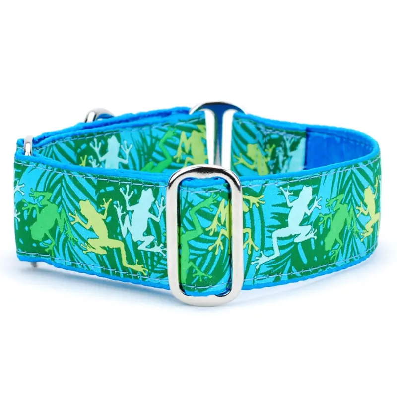 2 Hounds Design Dog Collar - Medium 14-18" - Coqui Surf