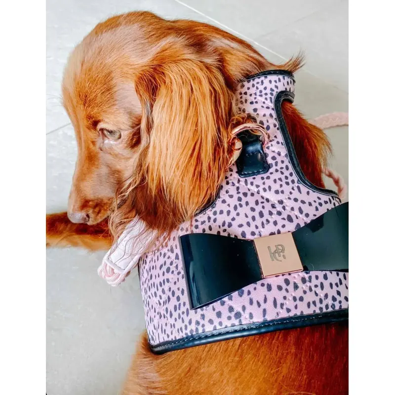 The Dahlia Dog Harness