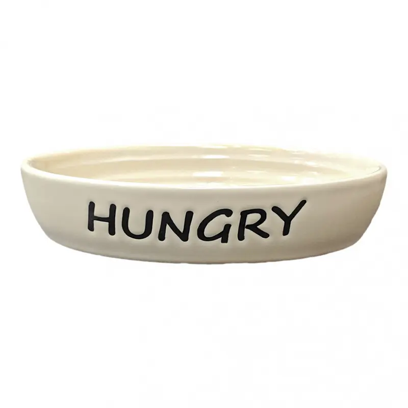 Ethical Pet Oval Hungry Cat Dish