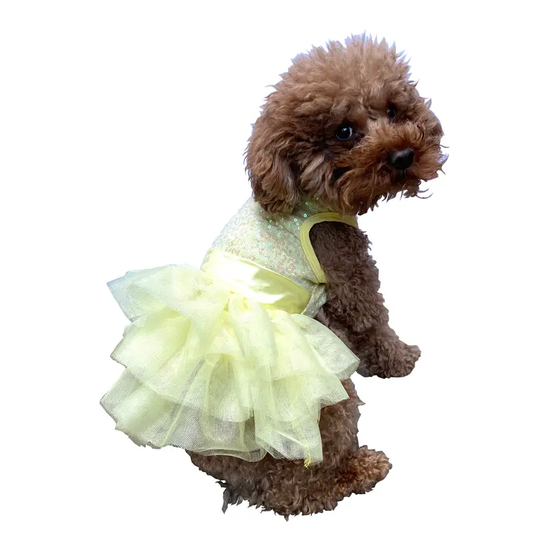 Zsa Zsa Dog Tutu Dress in Lemon Yellow