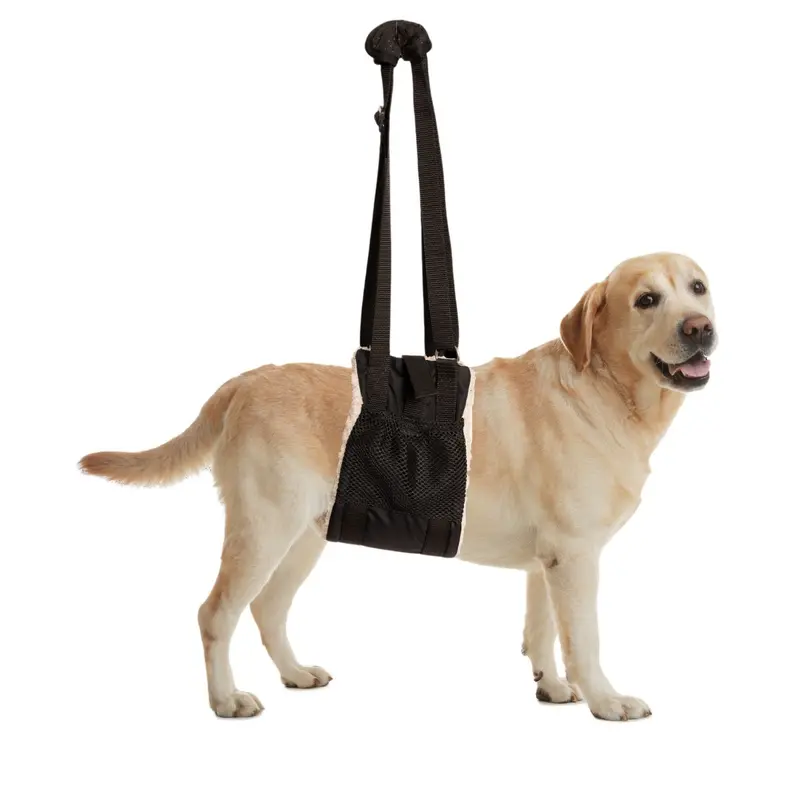 ZenPet Buddy Lift Canine Support & Rehabilitation Sling L/XL