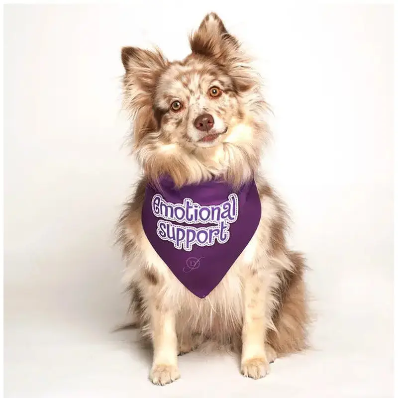 Emotional Support Dog Bandana by Dog Fashion Living