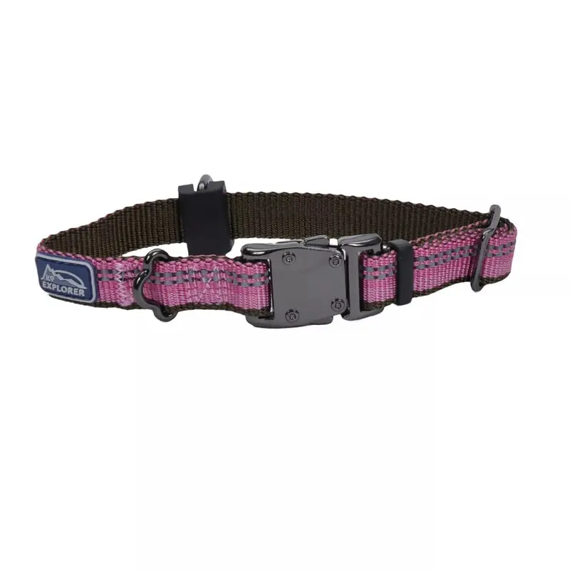 Coastal K9 Explorer 5/8in Wide 10-14in Reflective Adjustable Dog Collar Rosebud