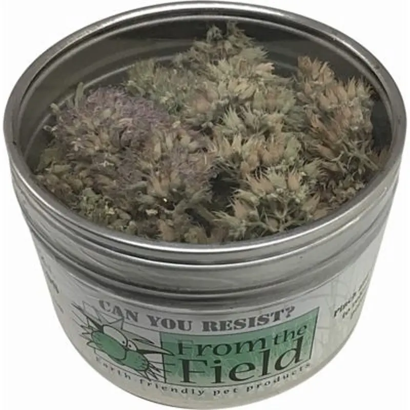 From the Field Organic Catnip Buds - 5oz Tub