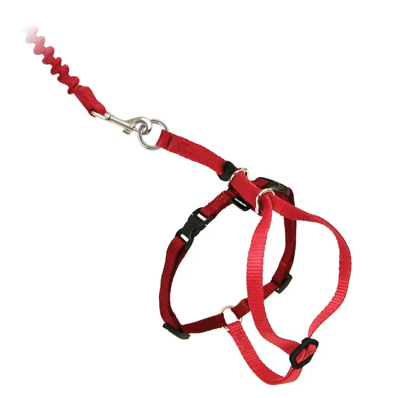 PetSafe Come With Me Kitty Harness and Bungee Leash  Medium  Red