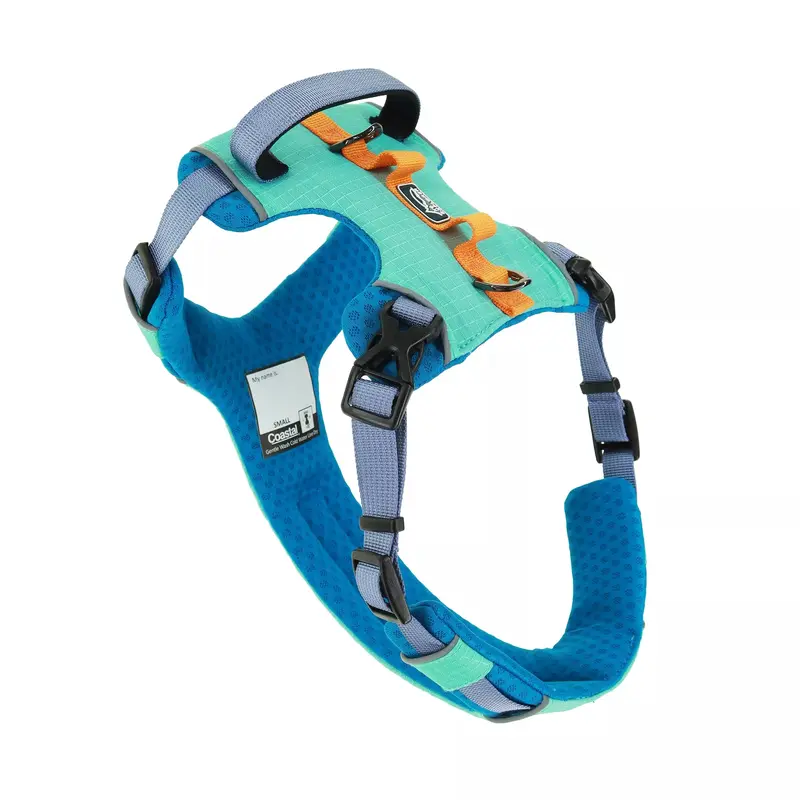 Costal K9 Explorer Dog Harness - Large 26-38'' - Atlantic
