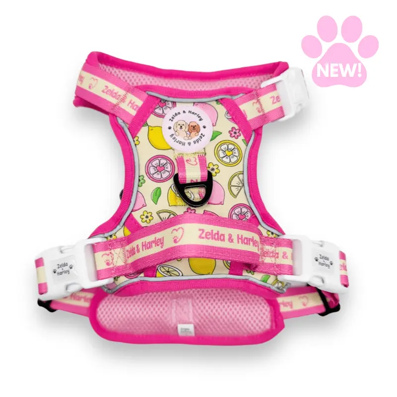 Pink Lemonade - Adventure No Pull Harness