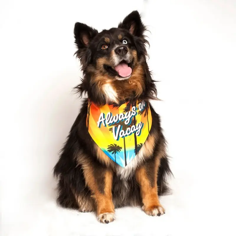 Always on Vacay Dog Bandana by Dog Fashion Living