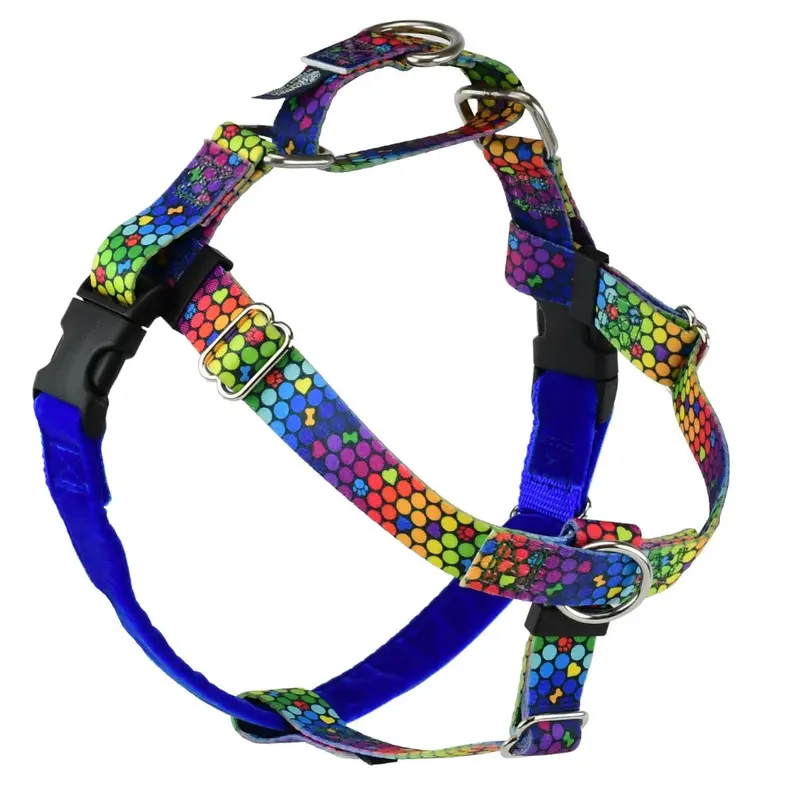 2 Hounds Design Freedom No-Pull Dog Harness - Small 5/8" x 20-24" - Roy G Biv
