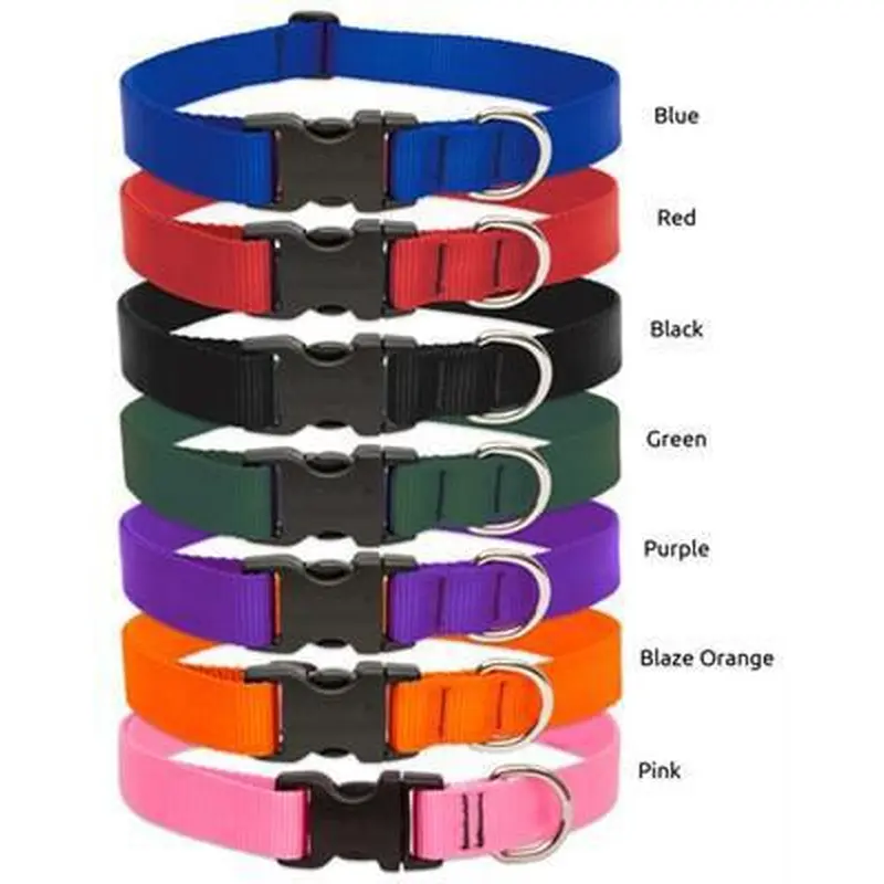 Lupine Basics 3/4 Collar 15-25