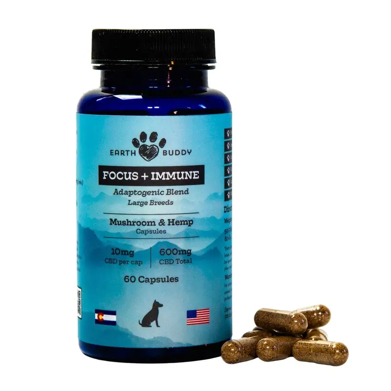 Earth Buddy Focus + Immune-Mushroom & Hemp Capsules for Large Breeds 10mg 4pk