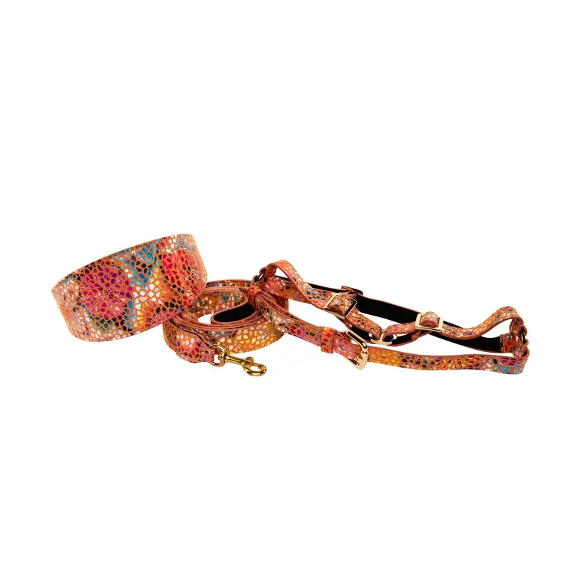 Orange Floral Mosaic Italian Leather 3 Wide Style Collar, Harness & Leash Set
