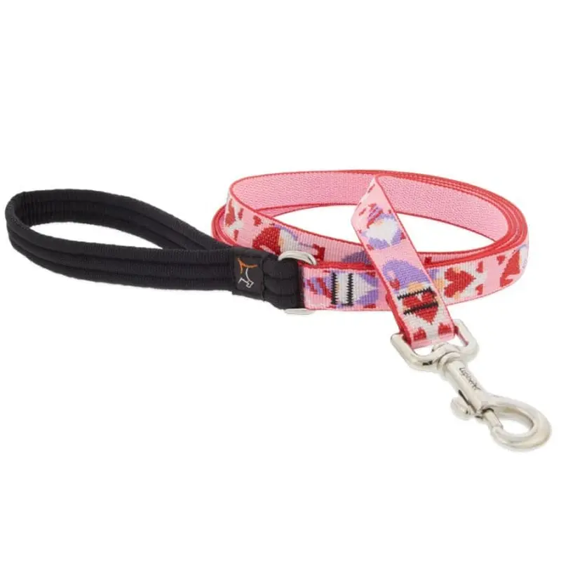 Lupine MicroBatch Limited Designs Dog Leash 3/4" x 6' Lovable Gnomes