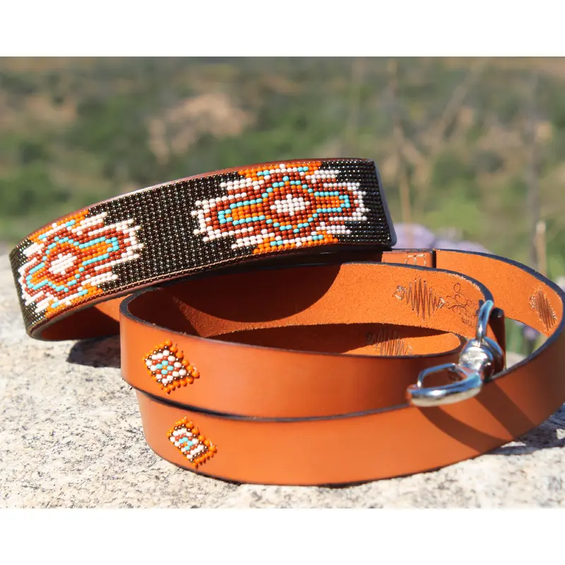 Matching leash/dog collar Boho Chic Sambboho Bundle