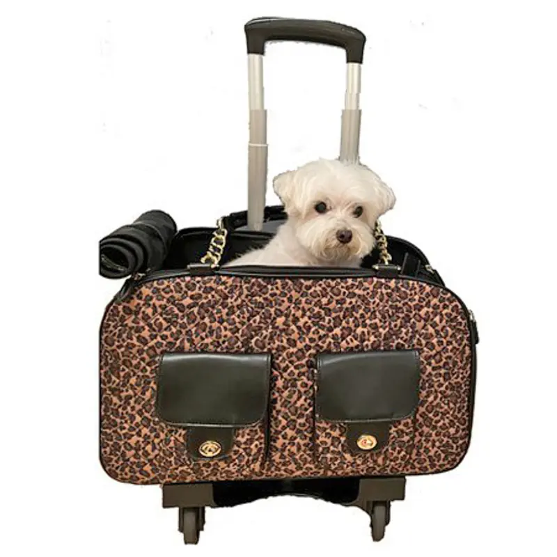 Spevack Pet Carrier + Pet-Trek: Airline Approved