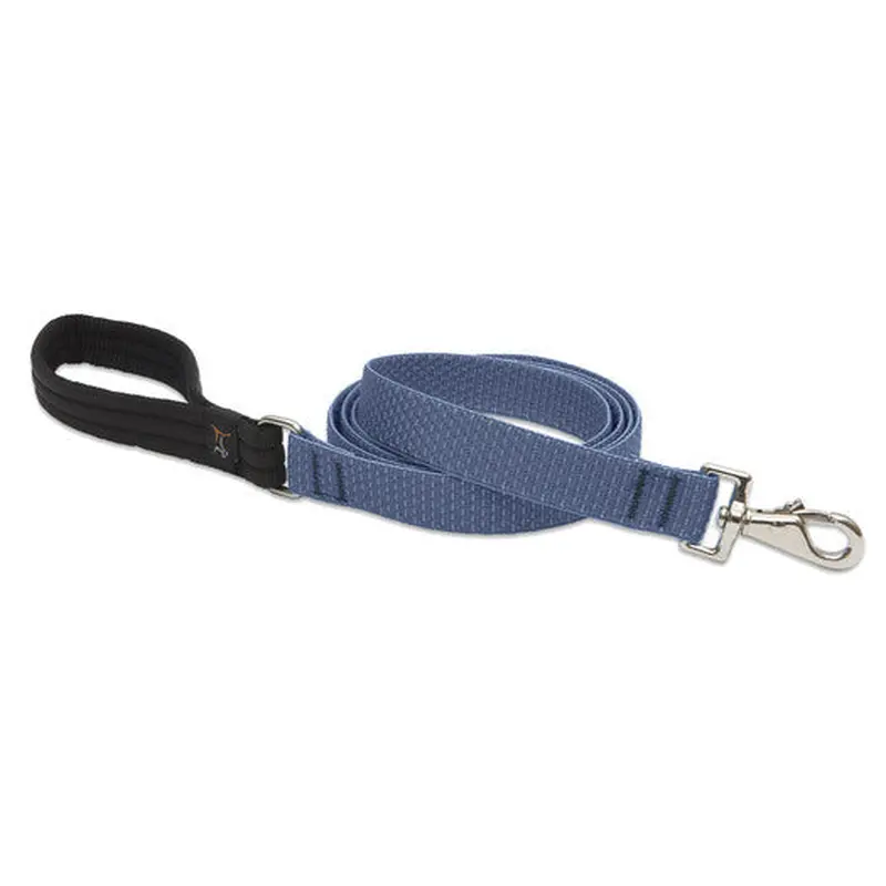 Lupine Large Dog ECO Padded Handle Leash 6'x1"