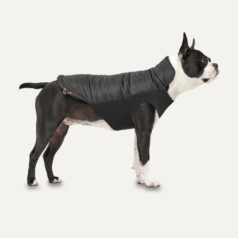 Gooeez Kangaroos Signature Mock Neck Jacket for Dogs Black XX Large