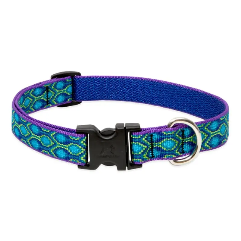 Lupine Pet Dog 3/4 In Wide 15-25 In Adjustable Collar Original Designs Ra In Song