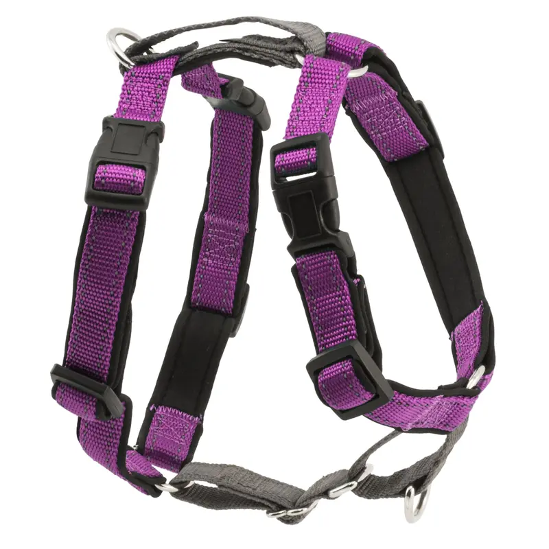 PetSafe 3 in 1 Harness, Extra Small, Plum, X-Small, Red / Grey