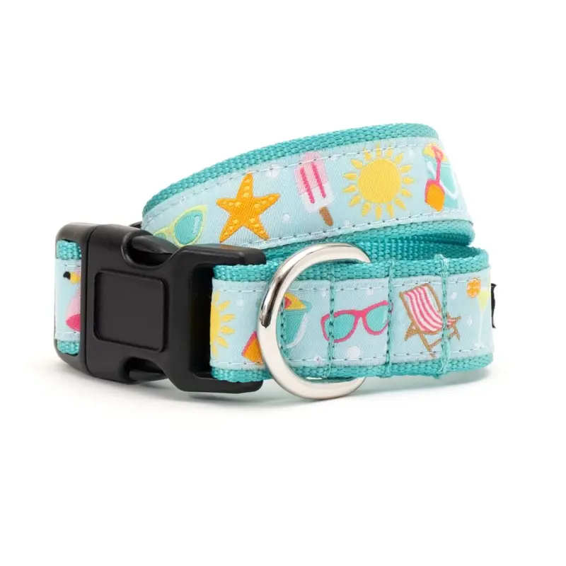 Mint Green Life's a Beach Collar & Lead Collection