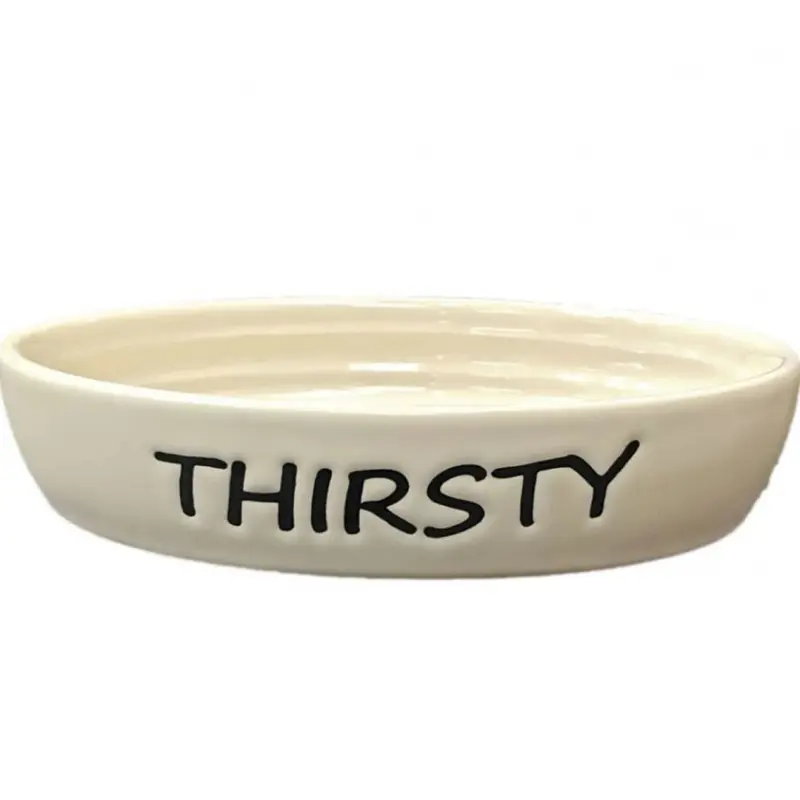 Ethical Pet Oval Thirsty Cat Dish