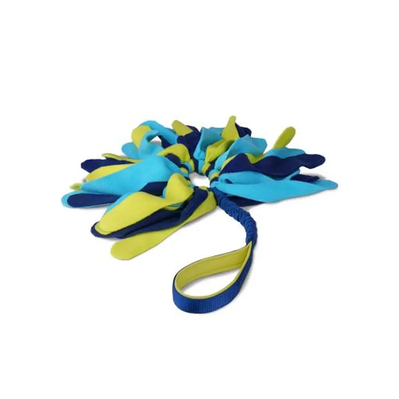 Coachi Tuggi Spider Toy for Puppies