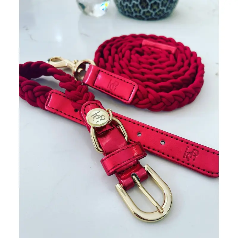 Dog Collar & Leash - Red/Yellow Gold- Plaited