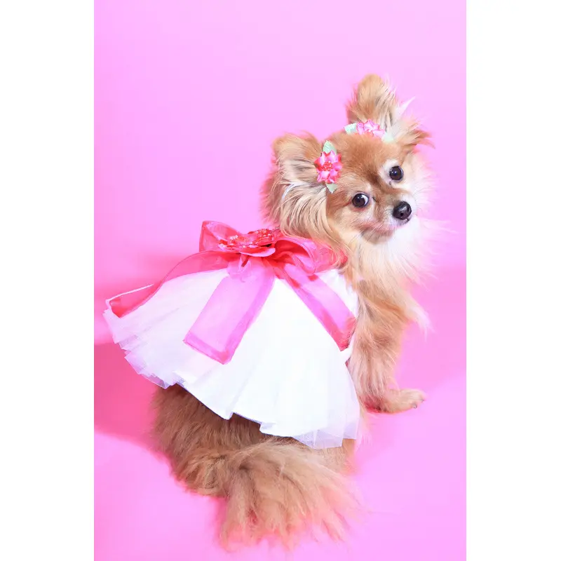 The Madeleine Dog Harness Dress with Hot Pink Sash