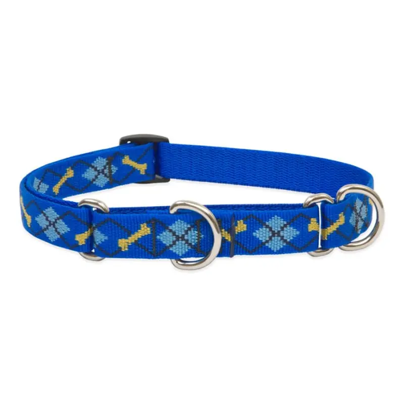 Lupine Pet Dog 3/4 In Wide 10-14 In Martingale Collar Original Designs Dapper Dog