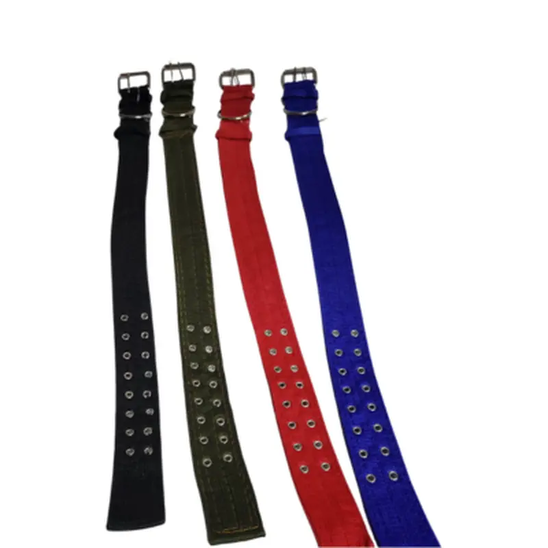 Dog Collar - 31, 2" Thick, Extra Large, Double Buckle