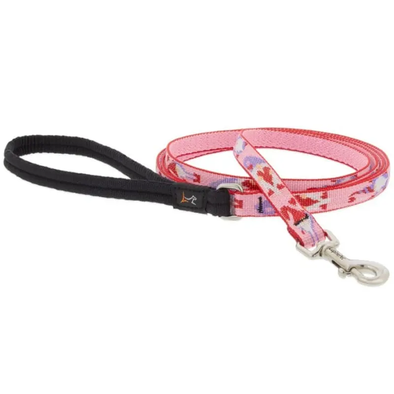 Lupine MicroBatch Limited Designs Dog Leash 1/2" x 6' Lovable Gnomes